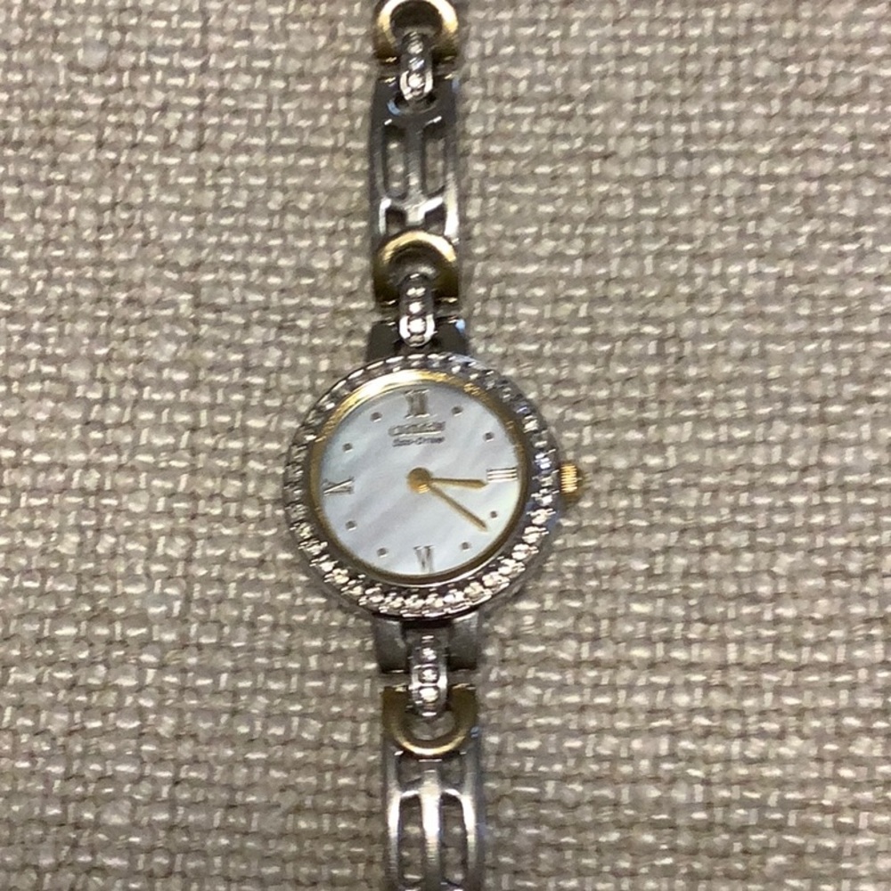Citizens Eco Drive Watch